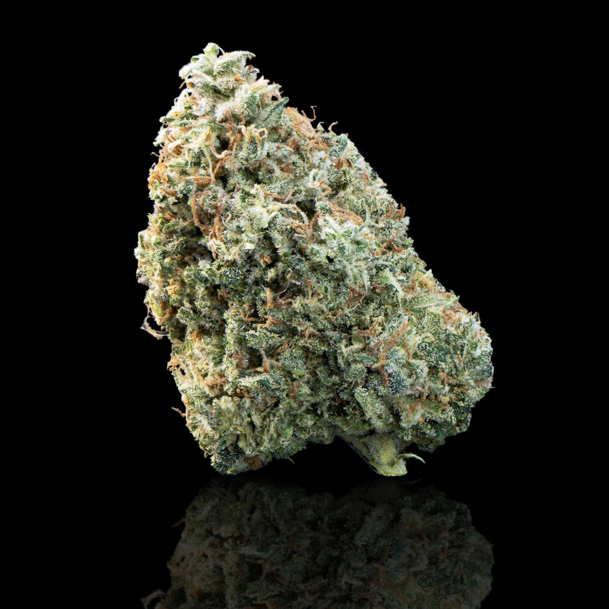 Cannabis Flower Runtz Muffin Strain | Wholesale-plantoflife-thailand