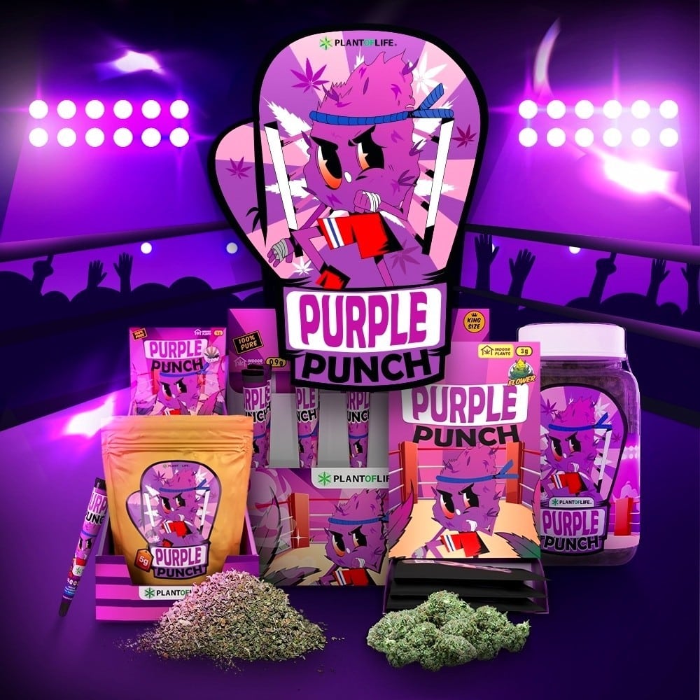 Purple Punch